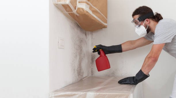 Professional Crawl Space Mold Removal technician working in Walloon Lake, MI